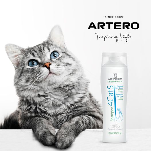 Artero Shampoo Kat 250 ml
